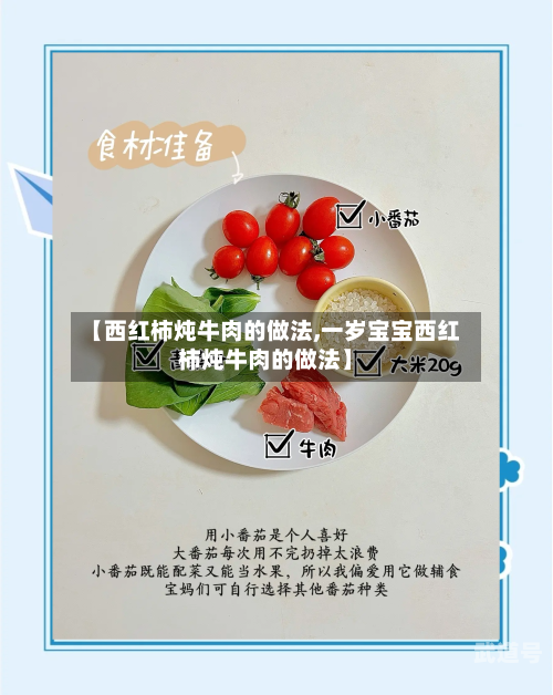 【西红柿炖牛肉的做法,一岁宝宝西红柿炖牛肉的做法】