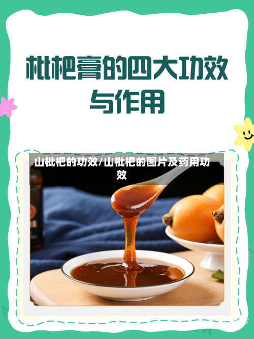 山枇杷的功效/山枇杷的图片及药用功效