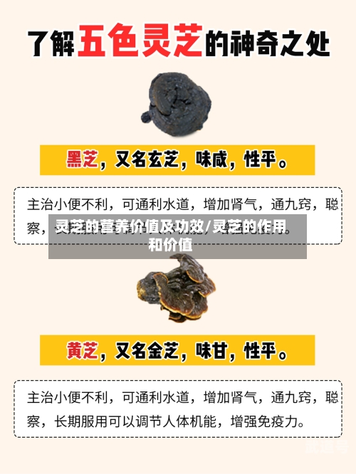灵芝的营养价值及功效/灵芝的作用和价值-第2张图片