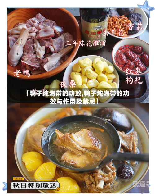 【鸭子炖海带的功效,鸭子炖海带的功效与作用及禁忌】