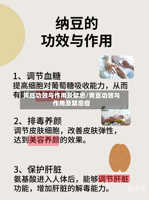 黄豆功效与作用及禁忌/黄豆功效与作用及禁忌症