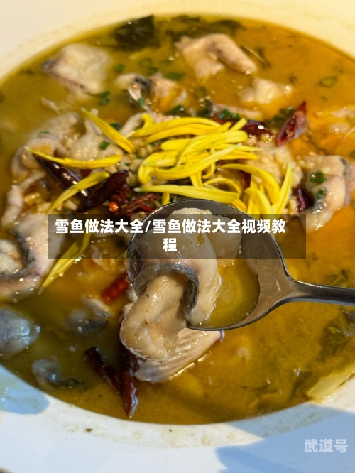 雪鱼做法大全/雪鱼做法大全视频教程