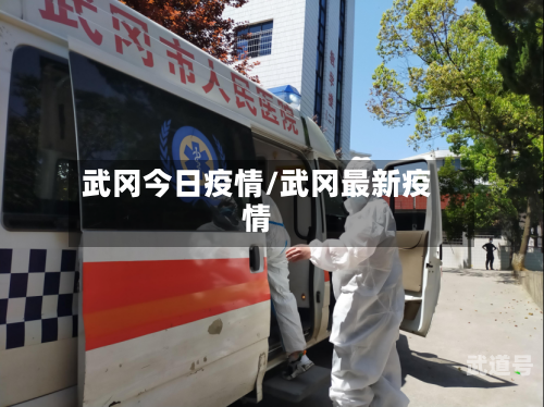 武冈今日疫情/武冈最新疫情