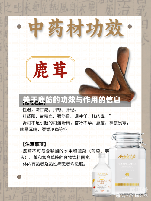 关于鹿筋的功效与作用的信息-第3张图片