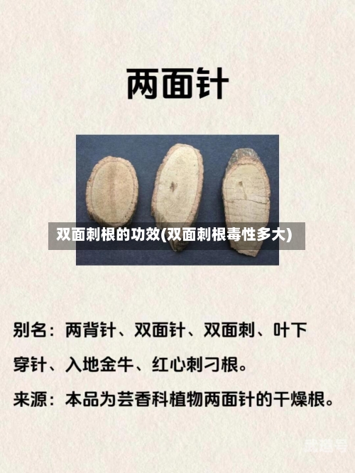 双面刺根的功效(双面刺根毒性多大)
