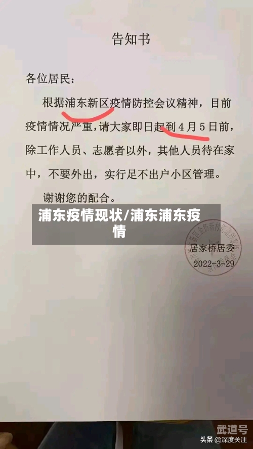 浦东疫情现状/浦东浦东疫情-第2张图片