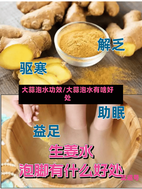 大蒜泡水功效/大蒜泡水有啥好处-第3张图片