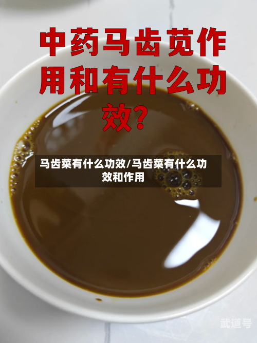 马齿菜有什么功效/马齿菜有什么功效和作用