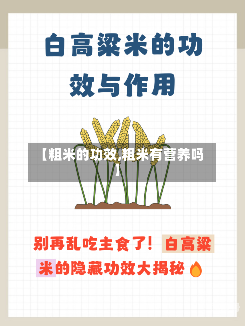 【粗米的功效,粗米有营养吗】