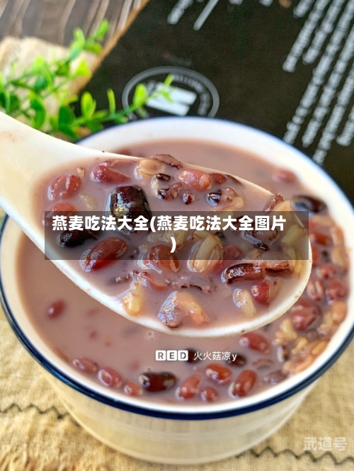 燕麦吃法大全(燕麦吃法大全图片)