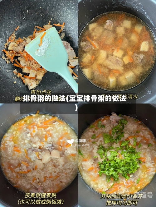 排骨粥的做法(宝宝排骨粥的做法)