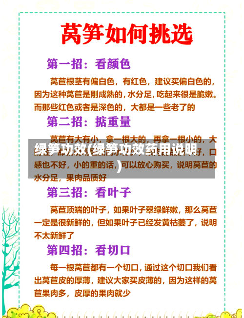绿笋功效(绿笋功效药用说明)