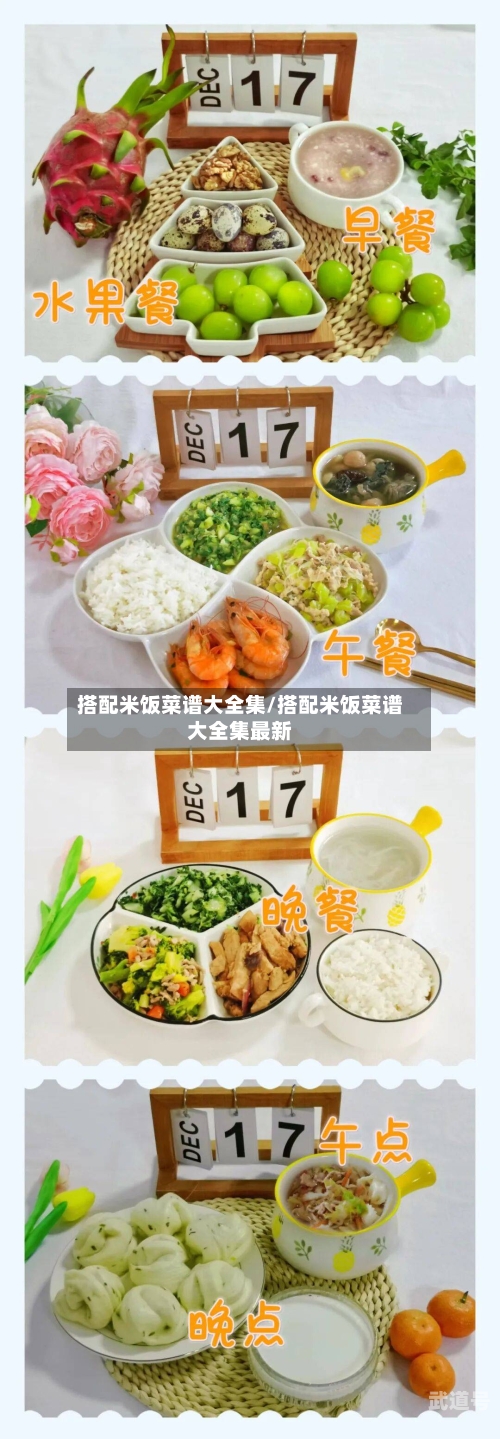 搭配米饭菜谱大全集/搭配米饭菜谱大全集最新