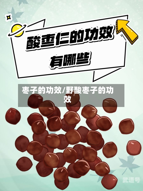 枣子的功效/野酸枣子的功效