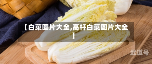 【白菜图片大全,高杆白菜图片大全】