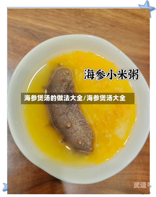 海参煲汤的做法大全/海参煲汤大全