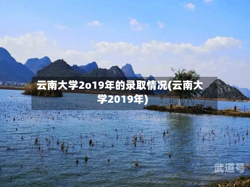云南大学2o19年的录取情况(云南大学2019年)