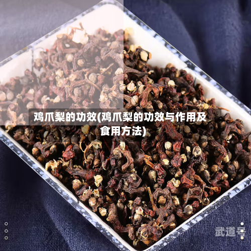 鸡爪梨的功效(鸡爪梨的功效与作用及食用方法)-第3张图片