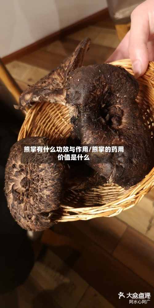 熊掌有什么功效与作用/熊掌的药用价值是什么