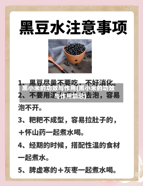 黑小米的功效与作用(黑小米的功效与作用禁忌)