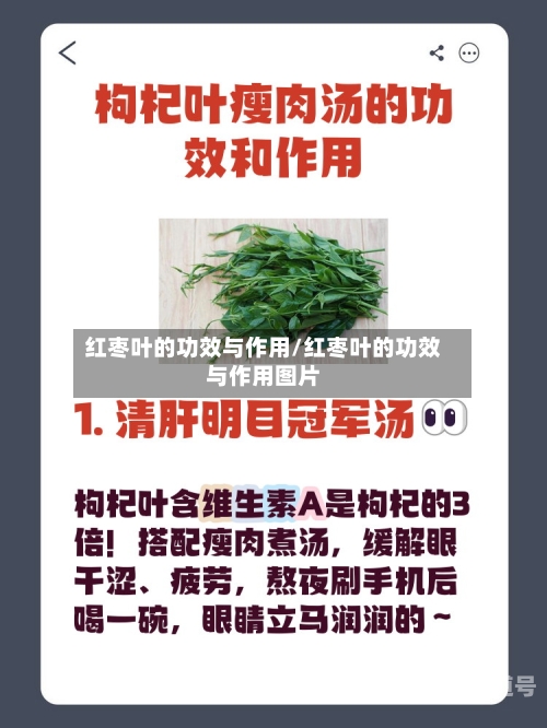 红枣叶的功效与作用/红枣叶的功效与作用图片