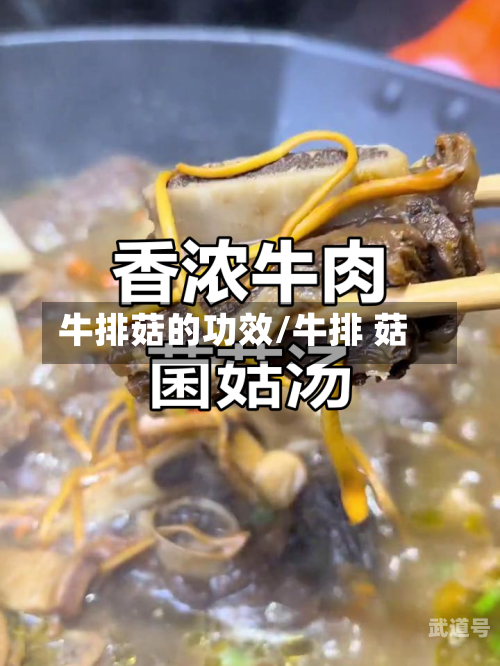 牛排菇的功效/牛排 菇