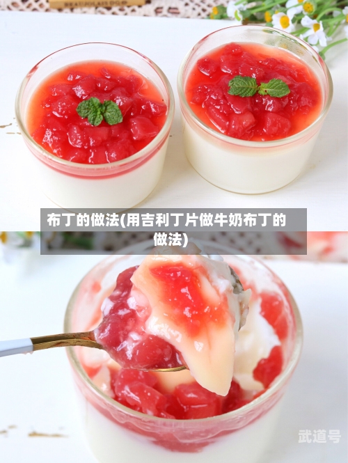 布丁的做法(用吉利丁片做牛奶布丁的做法)