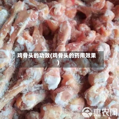 鸡骨头的功效(鸡骨头的药用效果)