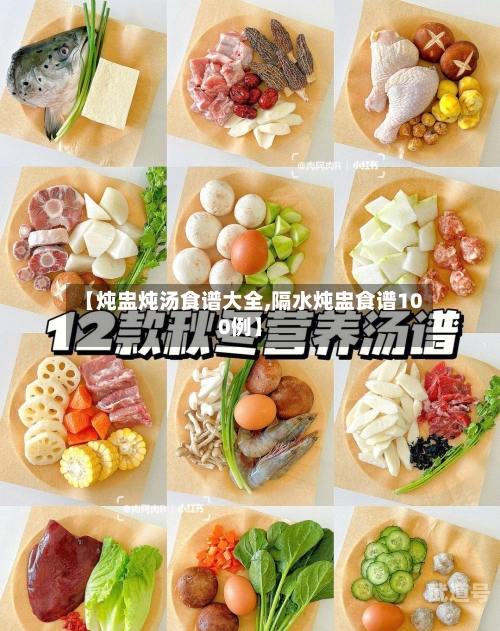 【炖盅炖汤食谱大全,隔水炖盅食谱100例】
