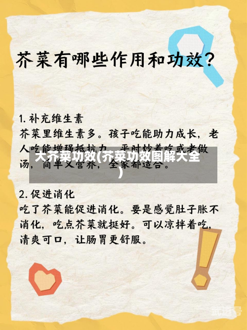 大芥菜功效(芥菜功效图解大全)