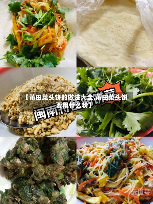 【莆田菜头饼的做法大全,莆田菜头饼要用什么粉】