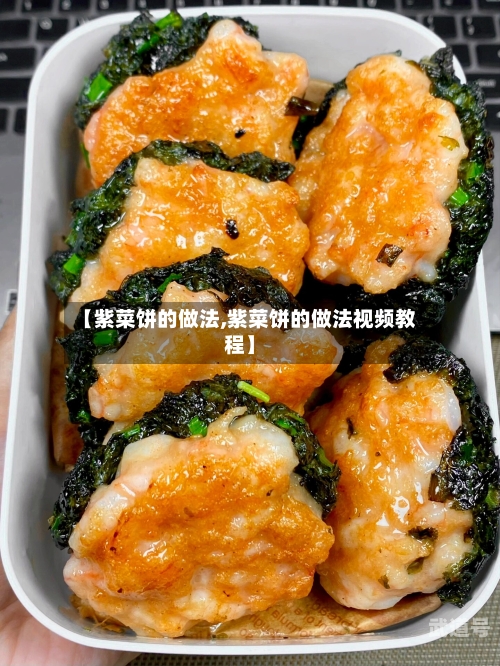 【紫菜饼的做法,紫菜饼的做法视频教程】