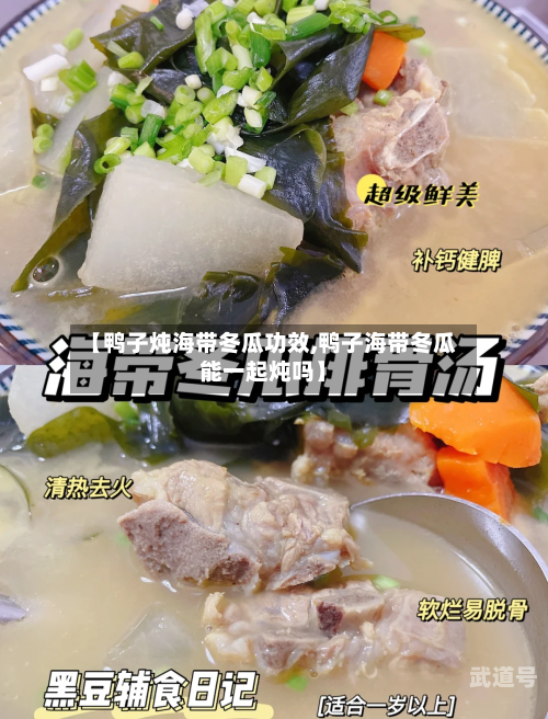 【鸭子炖海带冬瓜功效,鸭子海带冬瓜能一起炖吗】