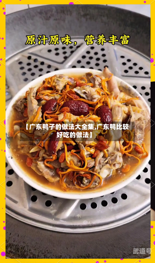 【广东鸭子的做法大全集,广东鸭比较好吃的做法】