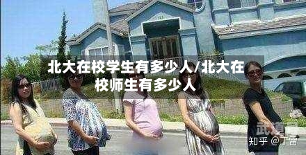 北大在校学生有多少人/北大在校师生有多少人