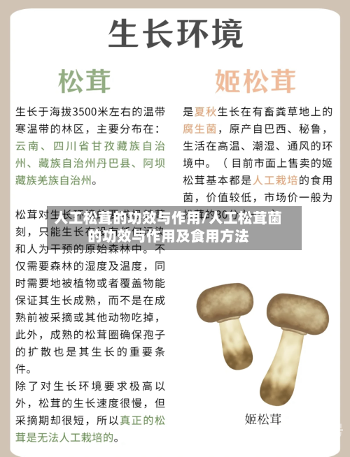 人工松茸的功效与作用/人工松茸菌的功效与作用及食用方法