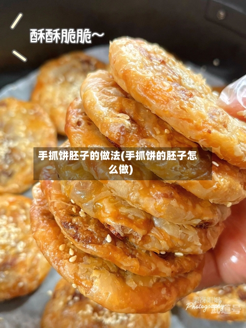 手抓饼胚子的做法(手抓饼的胚子怎么做)