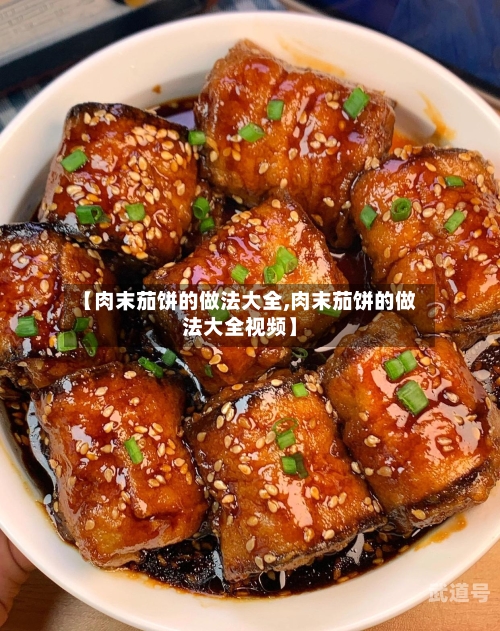 【肉末茄饼的做法大全,肉末茄饼的做法大全视频】