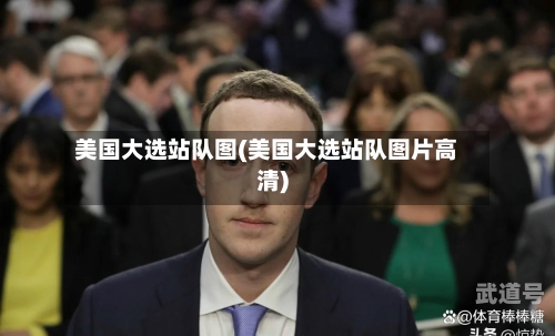 美国大选站队图(美国大选站队图片高清)