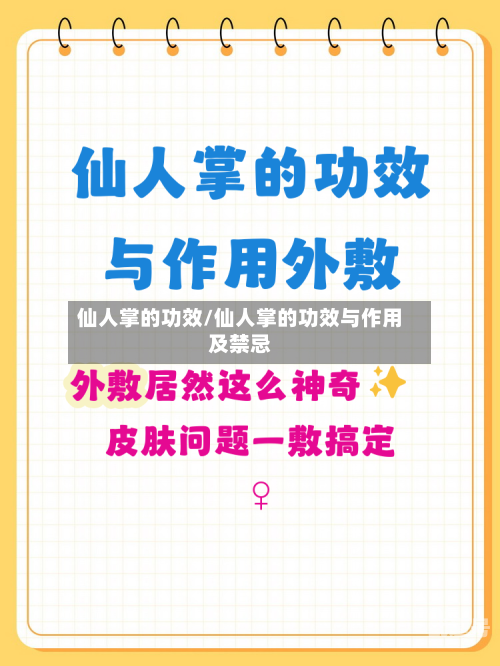 仙人掌的功效/仙人掌的功效与作用及禁忌