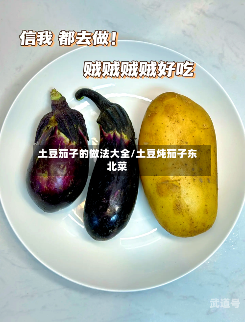 土豆茄子的做法大全/土豆炖茄子东北菜