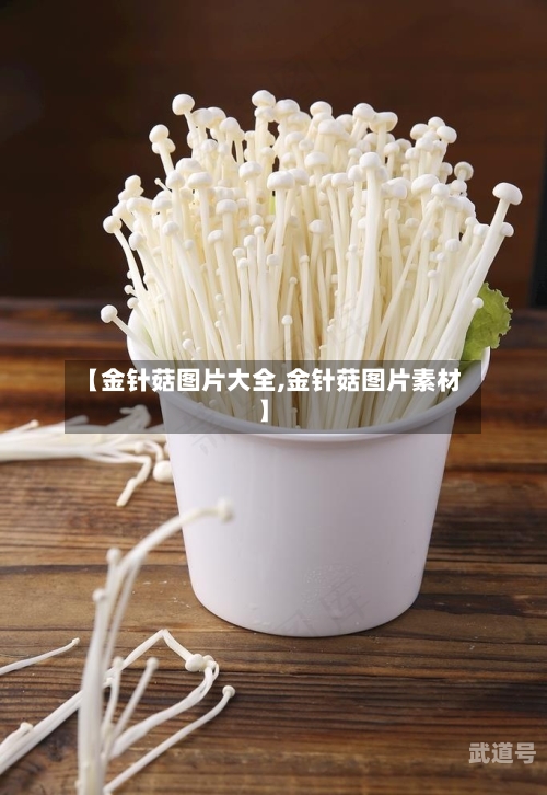 【金针菇图片大全,金针菇图片素材】
