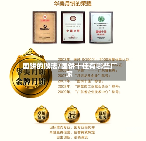 国饼的做法/国饼十佳有哪些厂家