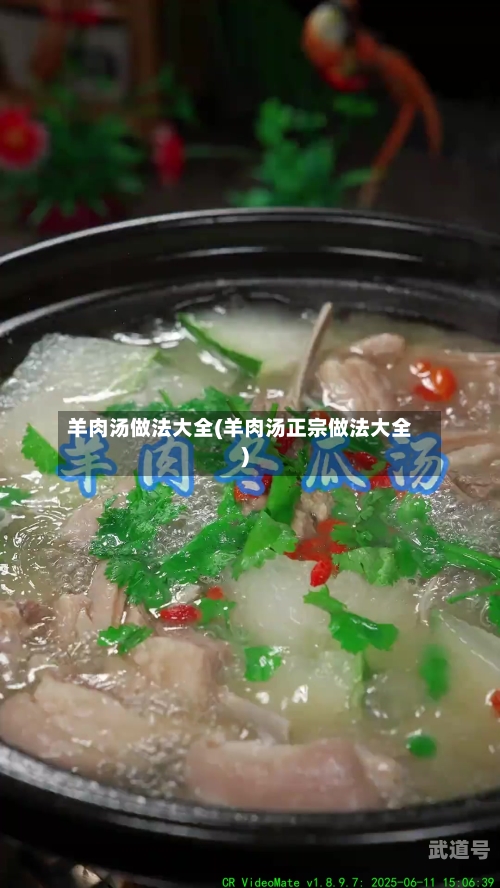 羊肉汤做法大全(羊肉汤正宗做法大全)