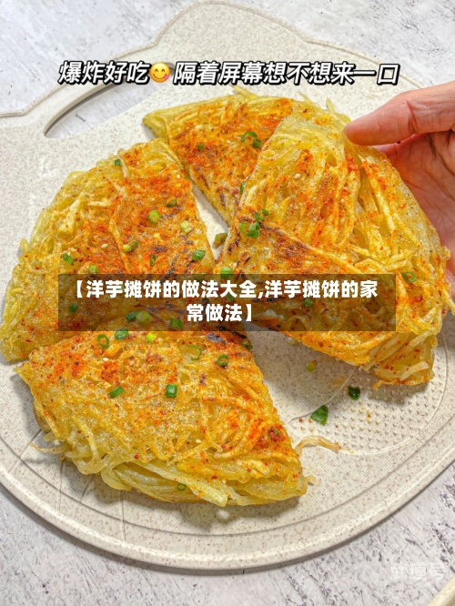 【洋芋摊饼的做法大全,洋芋摊饼的家常做法】