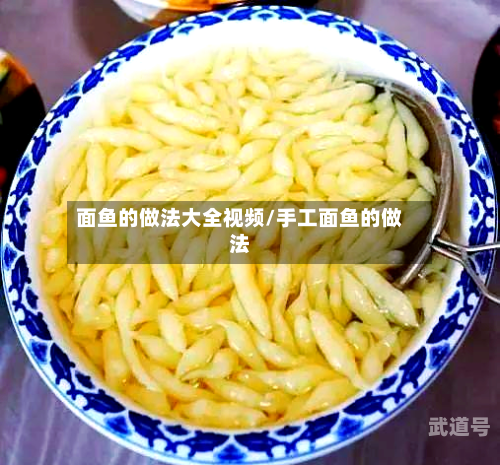 面鱼的做法大全视频/手工面鱼的做法