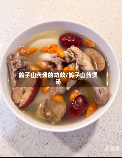 鸽子山药汤的功效/鸽子山药煲汤