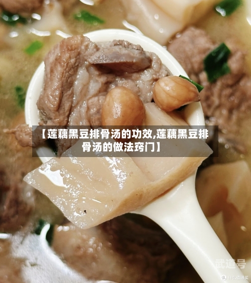 【莲藕黑豆排骨汤的功效,莲藕黑豆排骨汤的做法窍门】