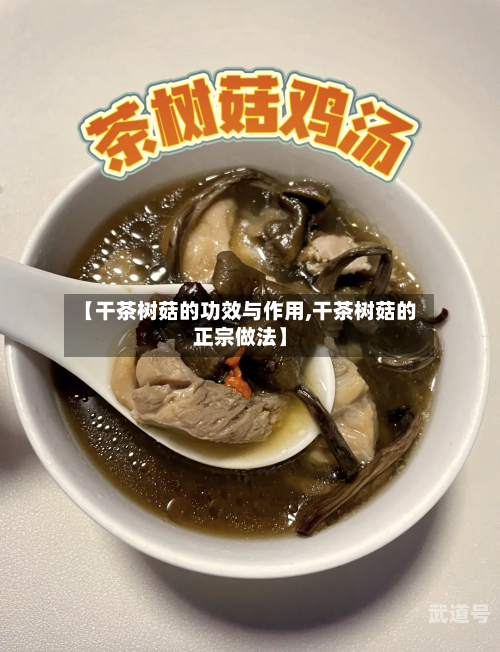 【干茶树菇的功效与作用,干茶树菇的正宗做法】