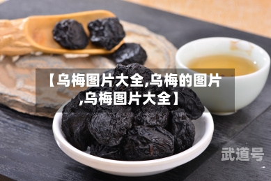 【乌梅图片大全,乌梅的图片,乌梅图片大全】